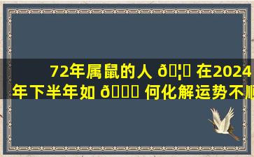 72年属鼠的人 🦊 在2024年下半年如 🐒 何化解运势不顺